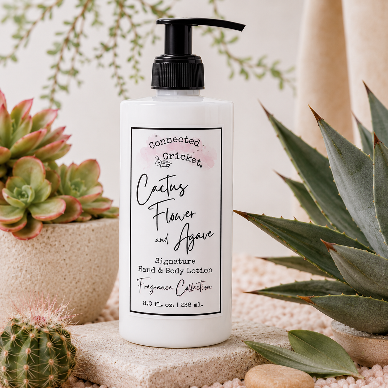 Cactus Flower & Agave